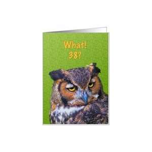  38th Birthday Card with Great Horned Owl Bird Card Toys 