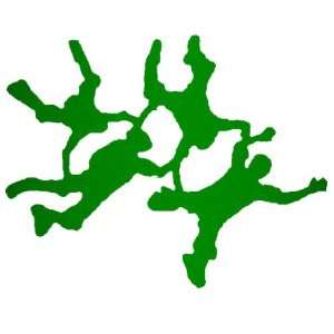  Skydiving 4 Way RW Formation Decal Sticker   Bright Green 