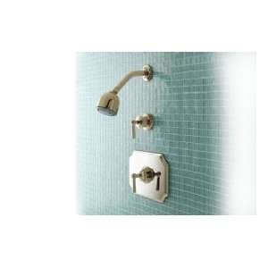  Mico 4520 N4 SN T Thermostatic Shower Set Trim Only W 