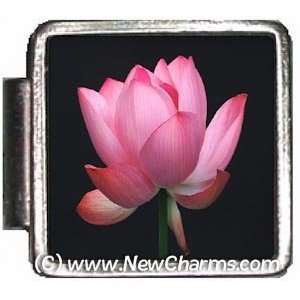  Dark Pink Flower Italian Charm Bracelet Jewelry Link 