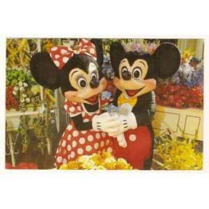 Walt Disney World Magic Kingdom Main Street Flower Market 4x6 Postcard 
