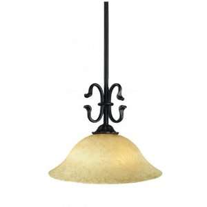  Z Lite 138 16R Black Down Pendant Black