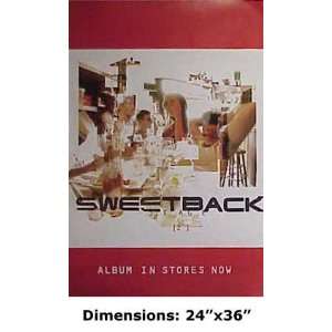  SWEETBACK ALBUM IN STORES 24x 36 Poster 