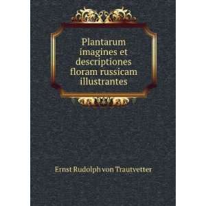  Plantarum imagines et descriptiones floram russicam 