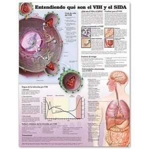 Understanding HIV and AIDS Spanish Chart/Poster  