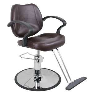  Contemporary Brown Hydraulic Styling Chair Beauty