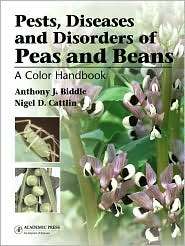   and Beans, (0123736749), Anthony Biddle, Textbooks   