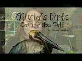   Olivias Birds Saving the Gulf by Olivia Bouler 