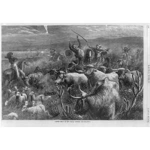   Cattle Raid on the Texas Border,gun fight,1874,bandigs