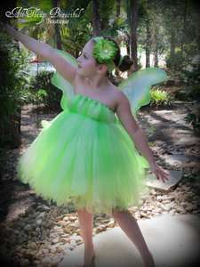 Fairy Inspired Tutu Dress Size 12 month   2t/3t  