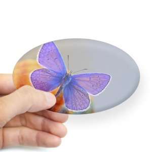  Sticker Clear (Oval) Xerces Purple Butterfly Everything 