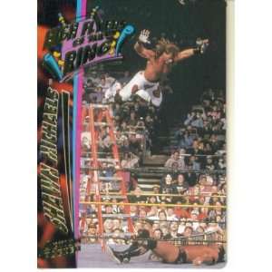  1995 Action Packed WWF Wrestling Card #38  Shawn Michaels 