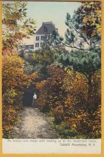 NY ~ CATSKILLS ~ Shady Walk to KAATERSKILL HOTEL ~ c1906 ~ VERY EARLY 