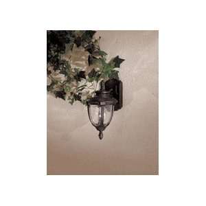  Outdoor Wall Sconces The Great Outdoors GO 8950