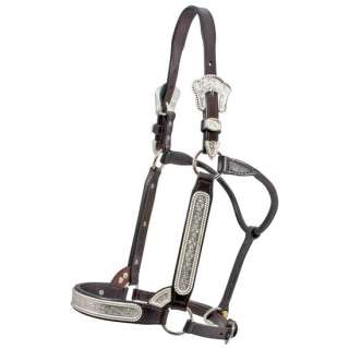 BILLY ROYAL Show Halter Yearling 30569  