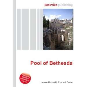 Pool of Bethesda Ronald Cohn Jesse Russell  Books