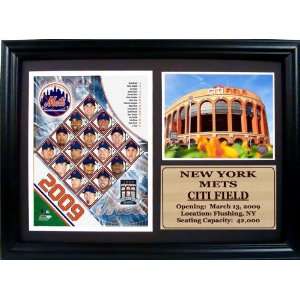   York Mets Team Photograph with Statistics Nested on a 12 x 15 Plaque