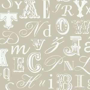  Word Play Taupe and White Wallpaper in Risky Business II 