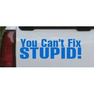 Blue 54in X 17.5in    You Cant Fix Stupid Funny Car Window Wall 