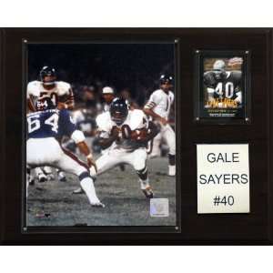 NFL Gale Sayers Chicago Bears Player Plaque Sports 