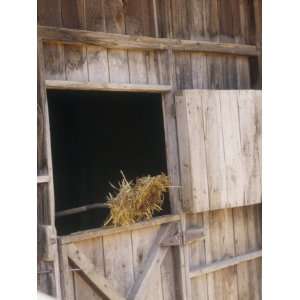  Hay and a Pitchfork in a Barn, Organic Farm, Goats Barn 