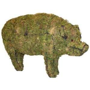  Piglet Mossed Topiary Frame