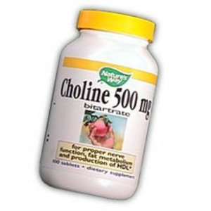  Choline   500Mg CAP (100 )