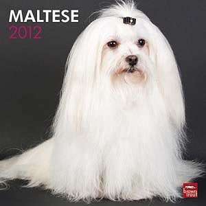  2012 Maltese Calendar