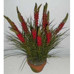  24 Silk Torch Flower and Wild Grass (red)