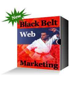 Black Belt Web Marketing   Drive Customers to Your Site  