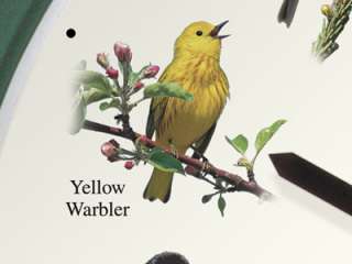 National Audubon Society Singing Bird Clock 8 Green  