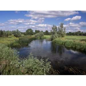  River Suir, Not Far from Cashel, County Tipperary, Munster 