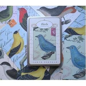  Cavallini Postcard Set  Birds Arts, Crafts & Sewing