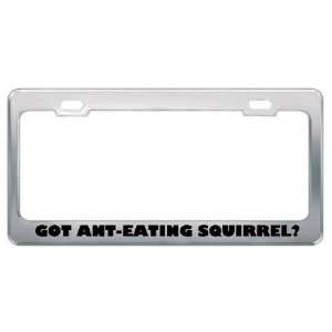 Got Ant Eating Squirrel? Animals Pets Metal License Plate Frame Holder 