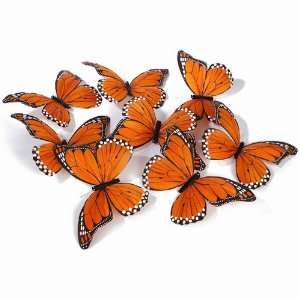  Monarch Butterfly Garland  8 Large Butterflies Kitchen 