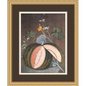  White Seeded Rock Melon by George Brookshaw   Framed 