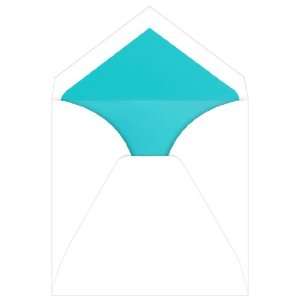   Envelopes   Royal White Aqua Lined (50 Pack) Arts, Crafts & Sewing