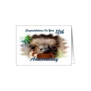 Anniversary / 12th ~Year Specific / Baby Ostrich Card