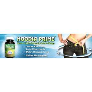  Hoodia Prime 