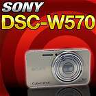 Sony Cyber shot DSC W570 16MP Compact Camera  