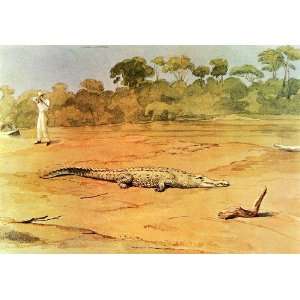   Mark Colombian Caiman Hunt Crocodile   Original Print