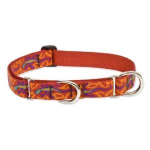  1 Go Go Gecko 15 22 Combo Collar