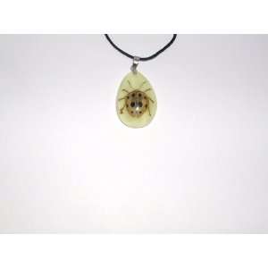  Glow in the dark Real Insect Necklace (YD0784) Everything 