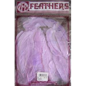   Oz Mauve Color All Purpose Feathers Arts, Crafts & Sewing