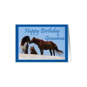  Birthday For grandma, Wild Horses on beach Card Health 