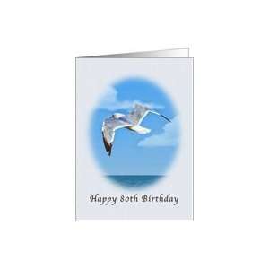  80th Birthday, Ring billed Gull Bird Card Toys & Games