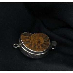  AMMONITE FOSSIL STERLING SILVER CLASP #2~ Everything 