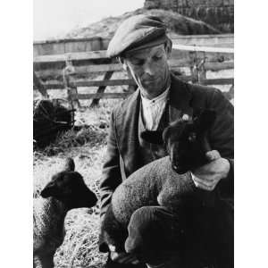 An Essex Shepherd with a Lovely Pair of Black Faced Suffolk Lambs 