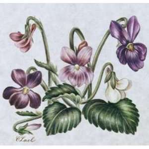  Marchs Flower, The Violet Constance Lael. 5.00 inches by 