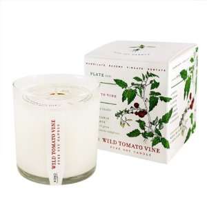  Wild Tomato Vine Candle with Plantable Box candle by KOBO 